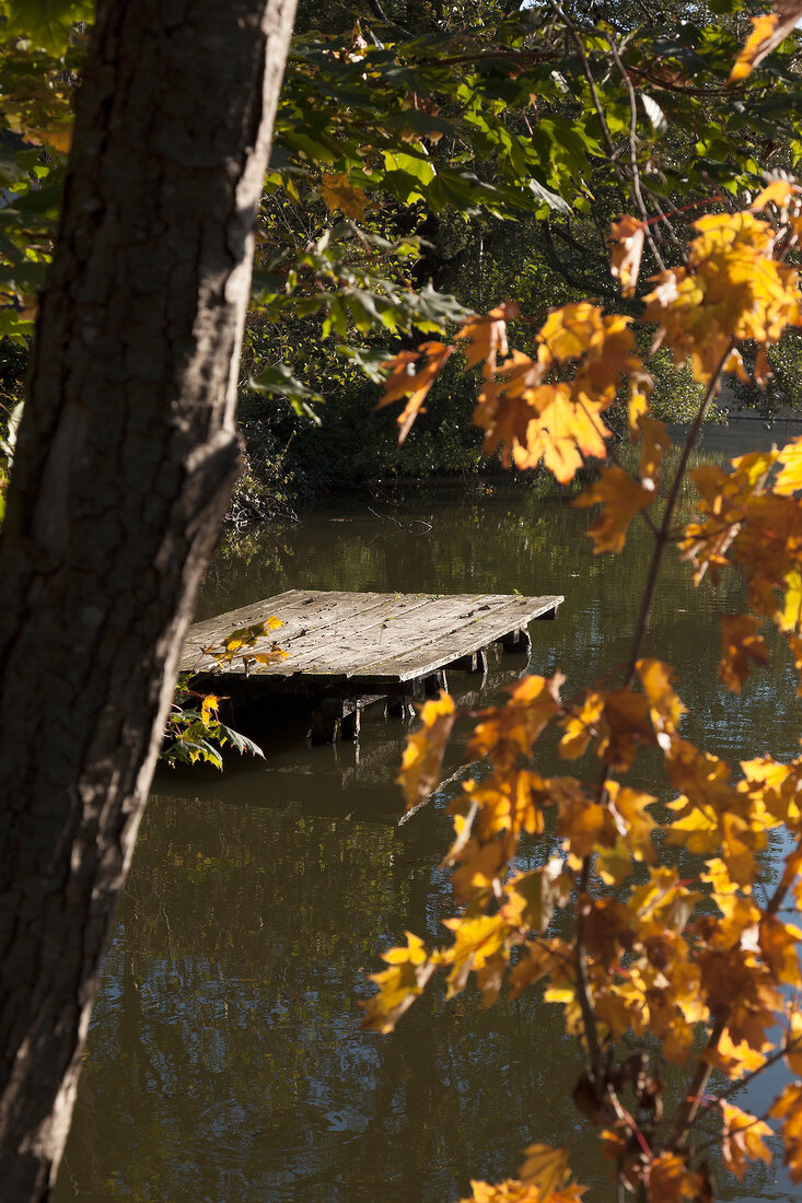 Pier on pond at Niederwurzbach, Blieskastel, Saarland, Germany