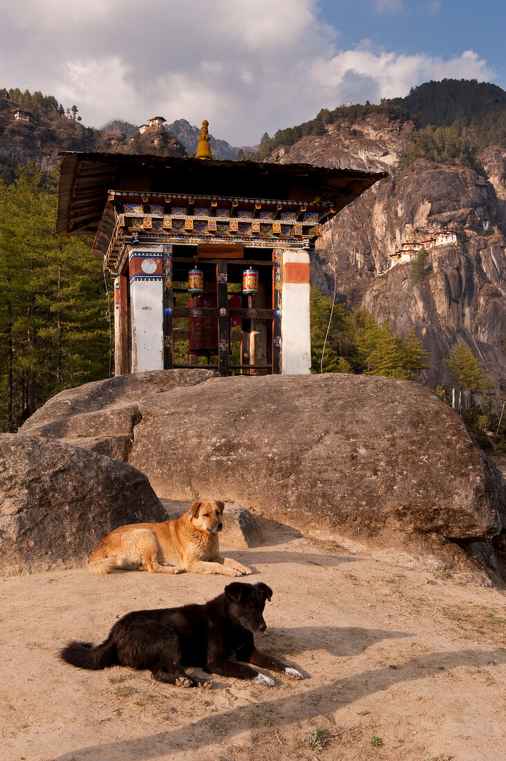 Bhutan, Gebetsmühle auf dem Weg zum Tiegernest Kloster Taktsang