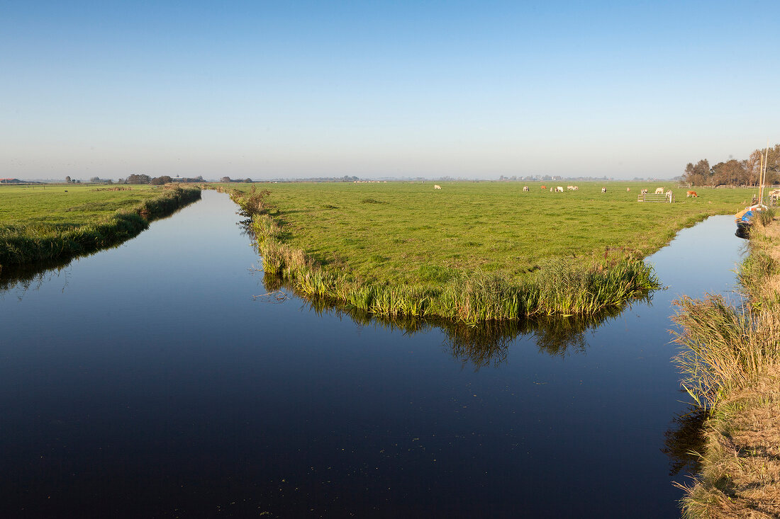 View of water and grassland in Ransdorp, Noord, Amsterdam, Netherlands