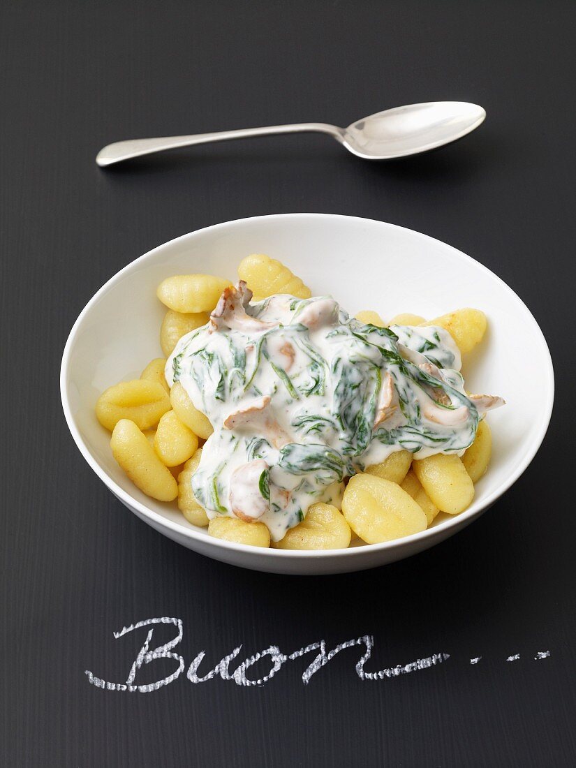 Gnocchi with spinach and cheese sauce