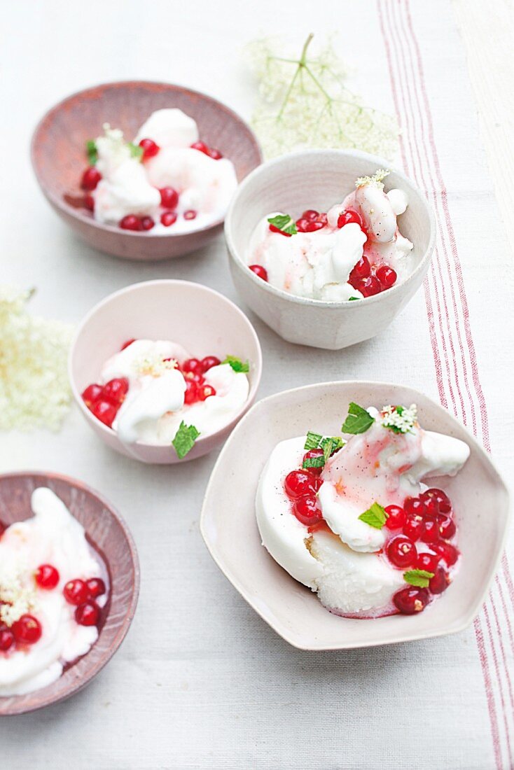 Elderflower sorbet with redcurrant and honey compote