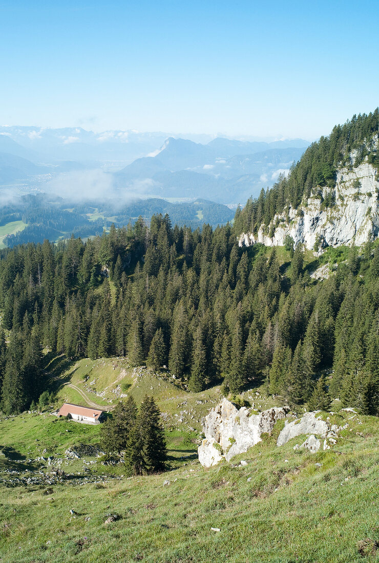 View of pine trees and rock mountains at Spitzstein, Chiemgau, Bavaria, Germany