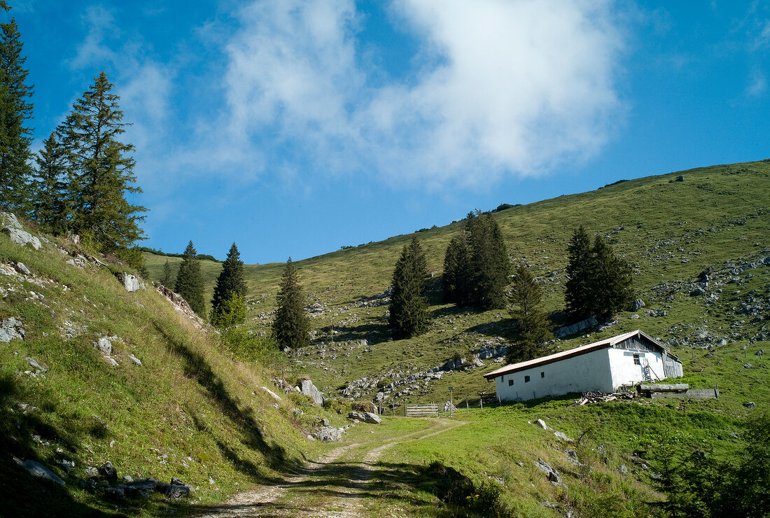 Chiemgau Alps mountain in Bavaria, Germany