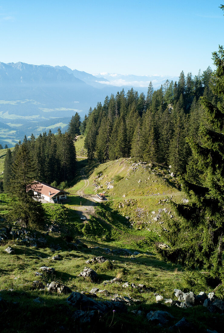 Chiemgau, Bayern, Chiemgauer Alpen, Spitzstein, bei Sachrang, Natur