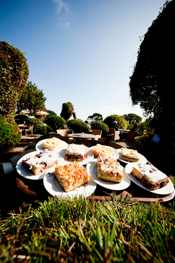 Various flavored cakes on serving dishes on table in garden