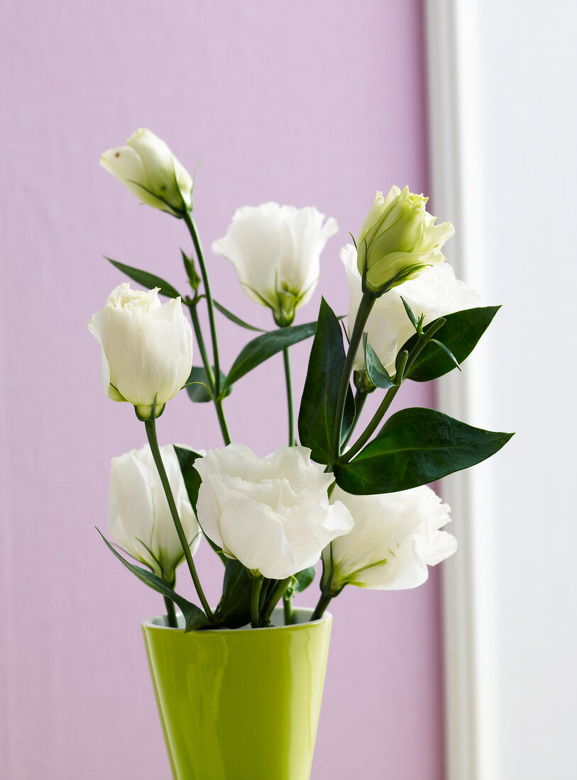 Green vase with white flowers in front of lavender wall