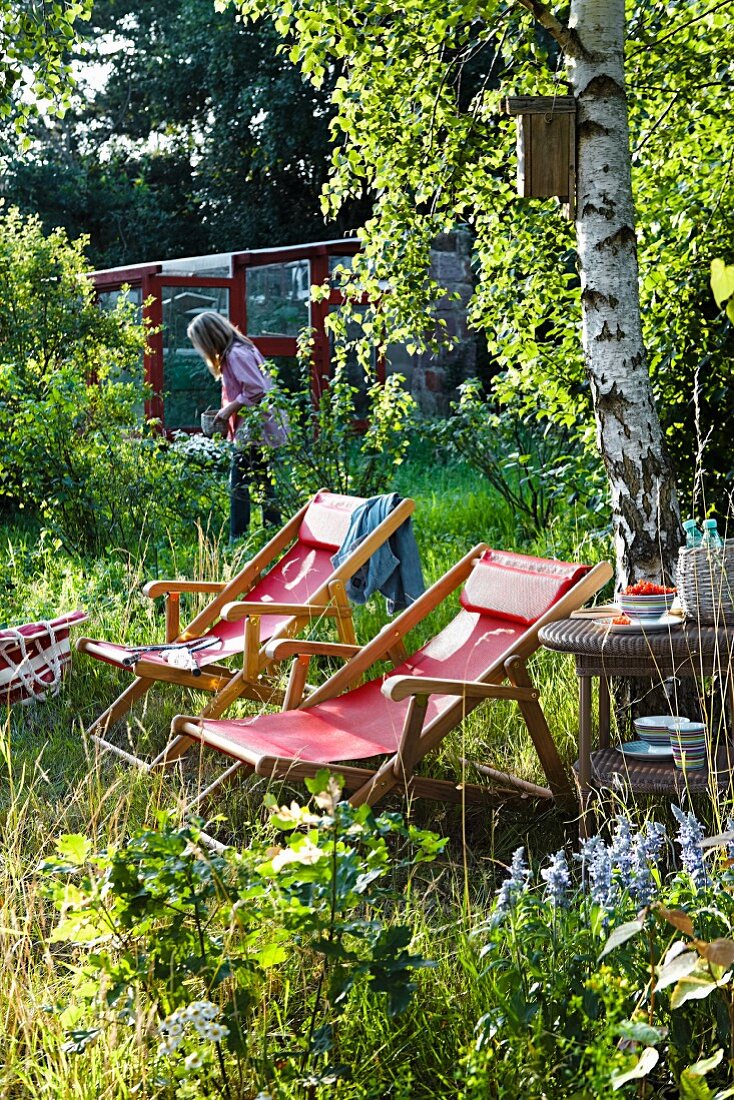 Deckchairs in overgrown garden
