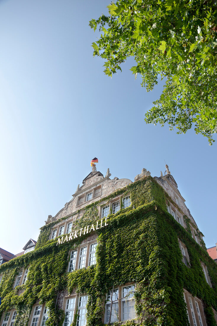 Old town market hall, Kassel, Hesse, Germany