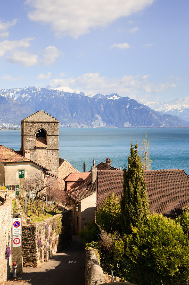 Genfer See, Kanton Waadt, Lavaux, Saint-Saphorin, Waadtländer Alpen