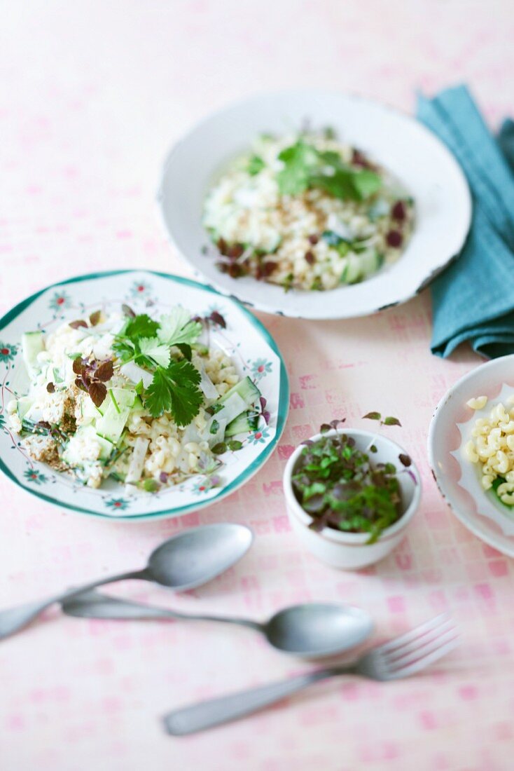 Cucumber and coriander salad with elbow macaroni and a yogurt and sesame sauce