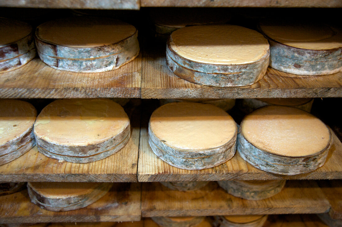 Vacherin Mont-d¿Or, Schweizer Weichkäse, Reifung