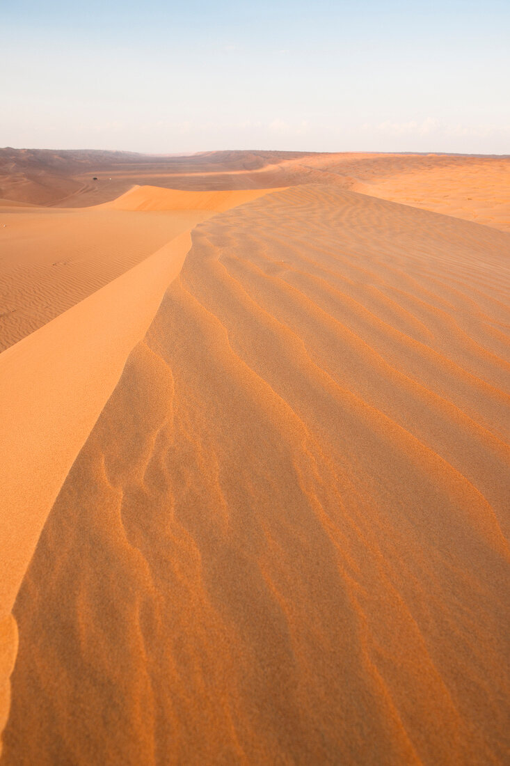 Wüste, Wahiba Sands, Abendsonne Oman, Sand, Landschaft, Übersicht