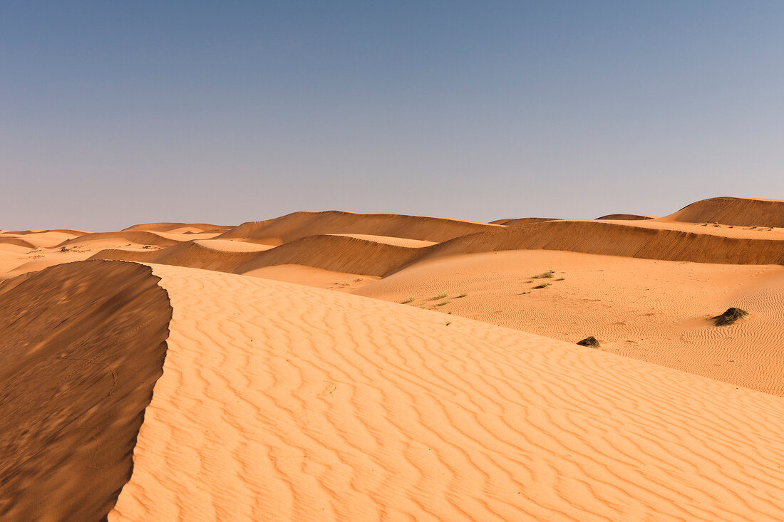 Sand dunes at Wahiba sands, Oman 