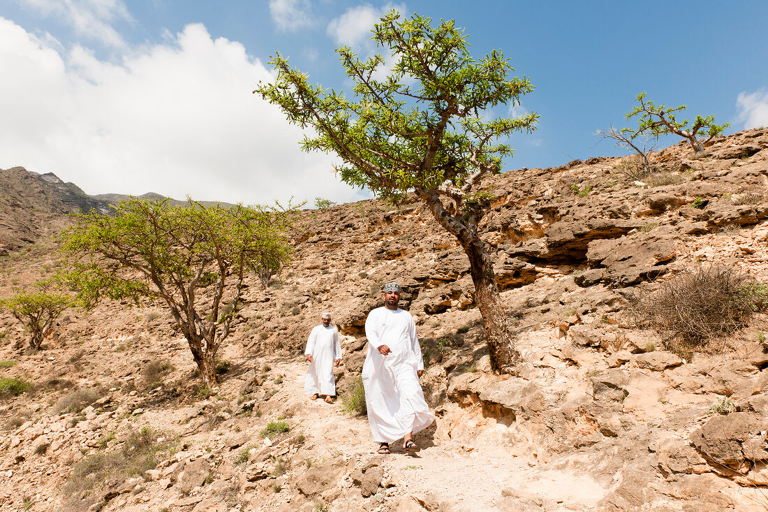 Men in valley with Weihrauchbaeume in Salalah, Dhofar, Oman