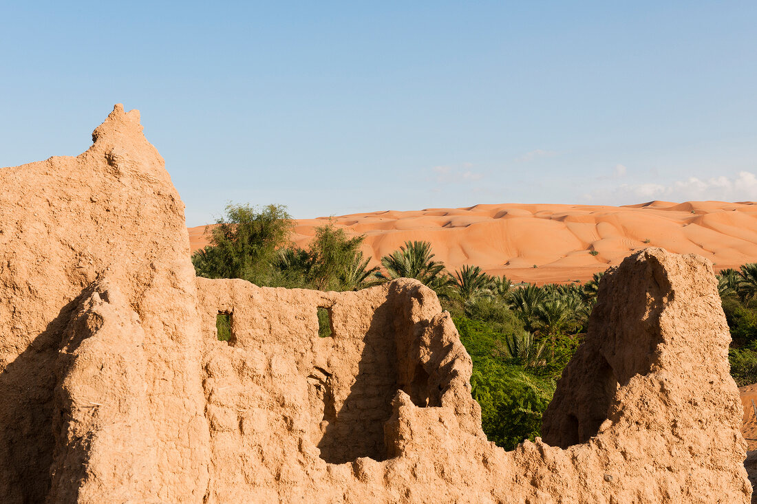 Oman, Wahiba Sands,Ruinen von Tanuf, Ruine, Lehmziegel, Palmen