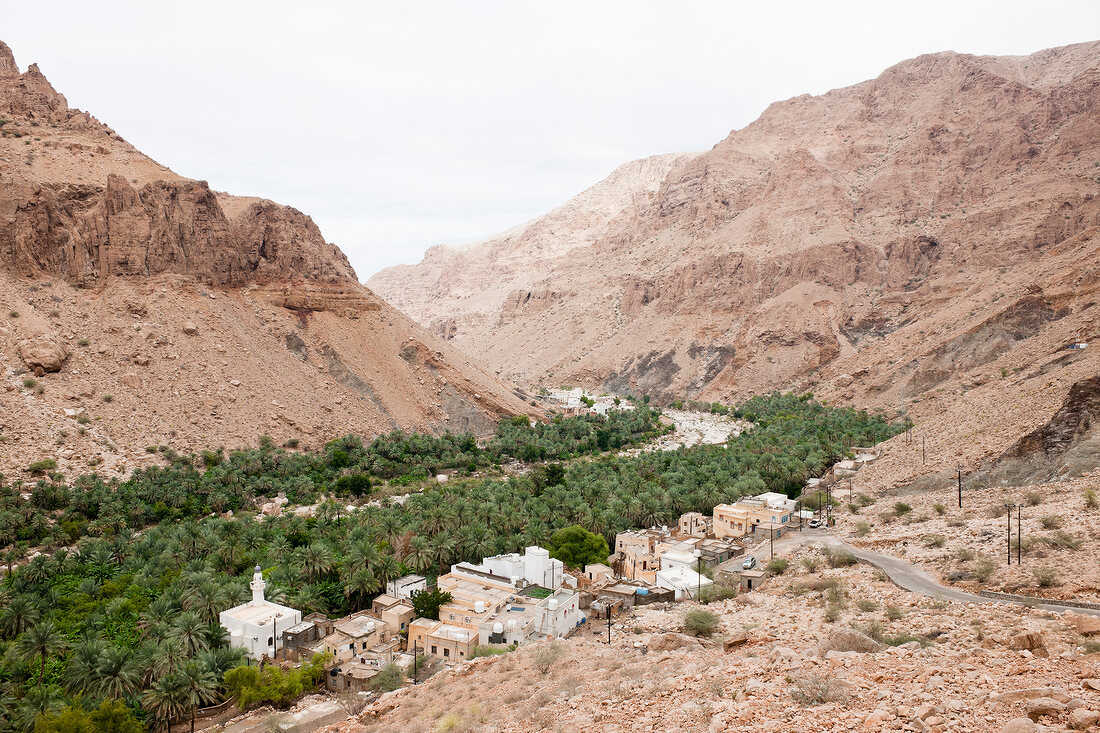 Oman, Wadi Shab, Tal, Dorf, Palmen, Grün, Bäume, Canyoun