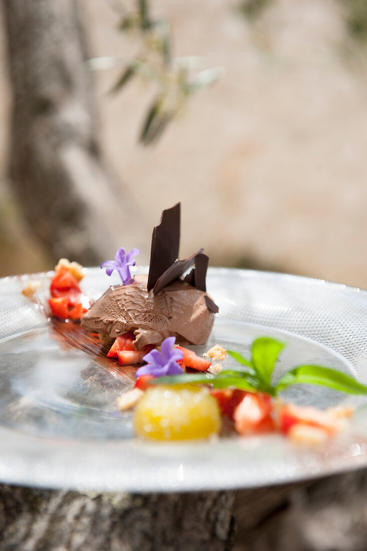 Close-up of chocolate ice cream with olive oil gelled