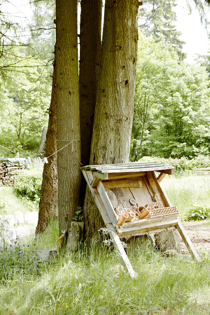 Nesting boxes leaning against tree in field