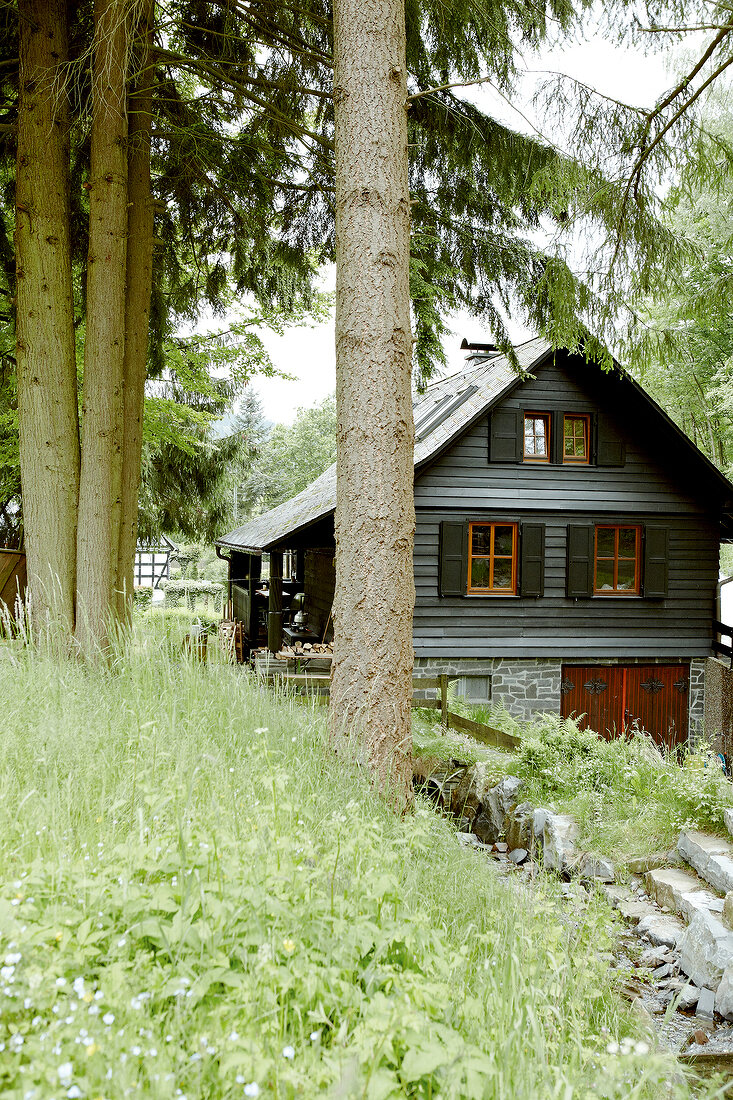 Landhaus, Wald, Grüne, Natur, Sauerland
