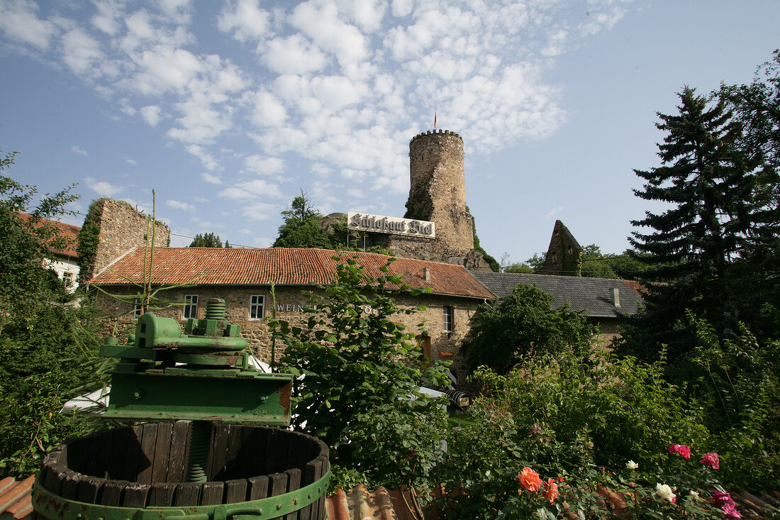 Schlossgut Diel Weingut Rümmelsheim