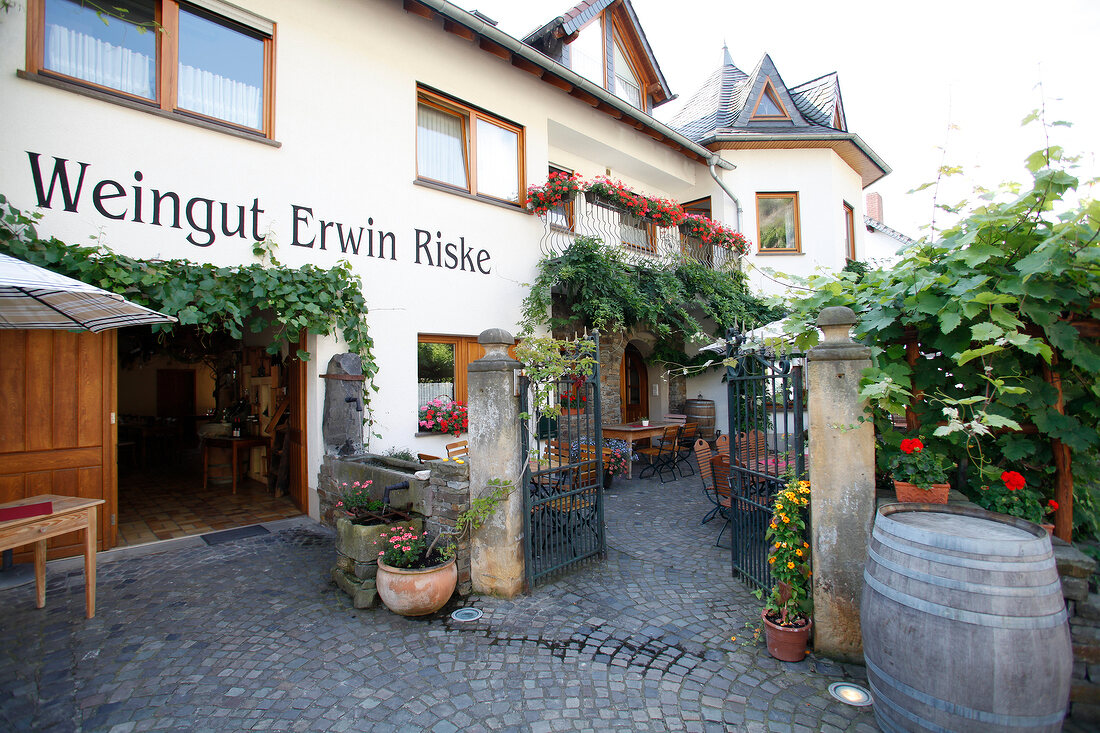 Erwin Riske Weingut Dernau