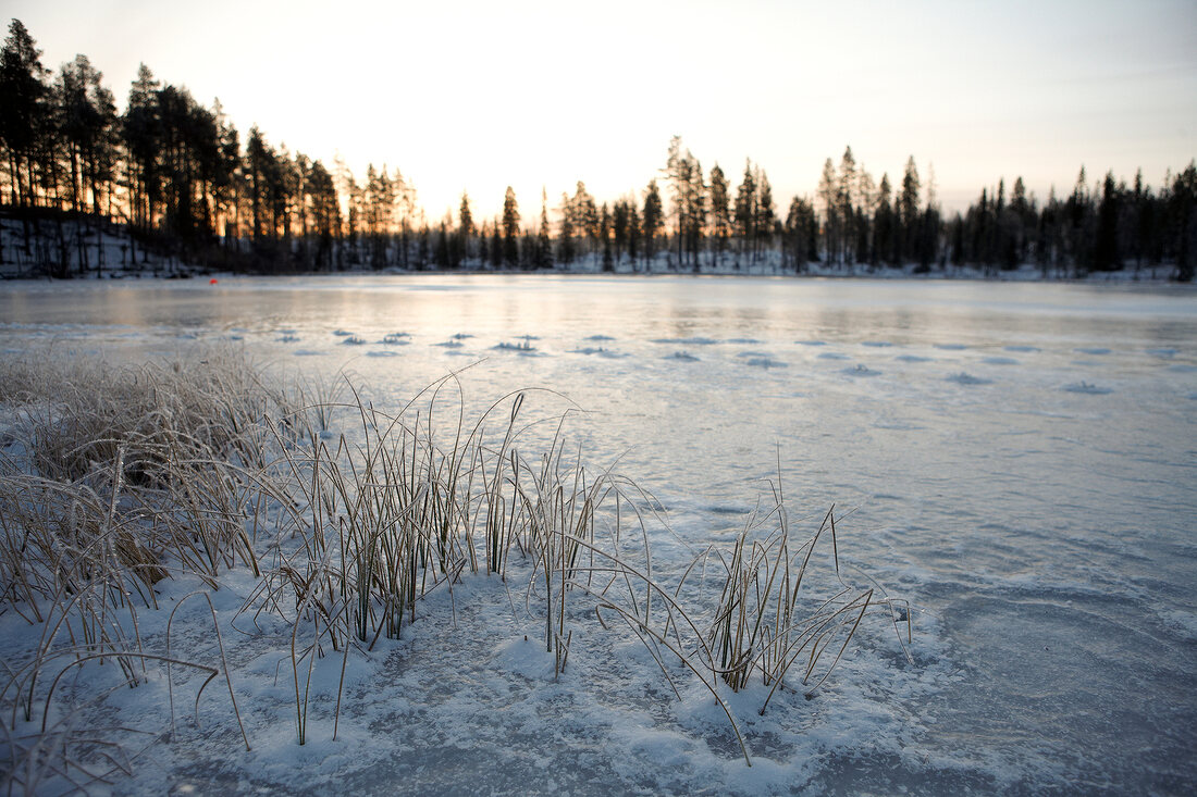 Lappland, Landschaft, See, gefror en, vereist, Sonnenuntergang