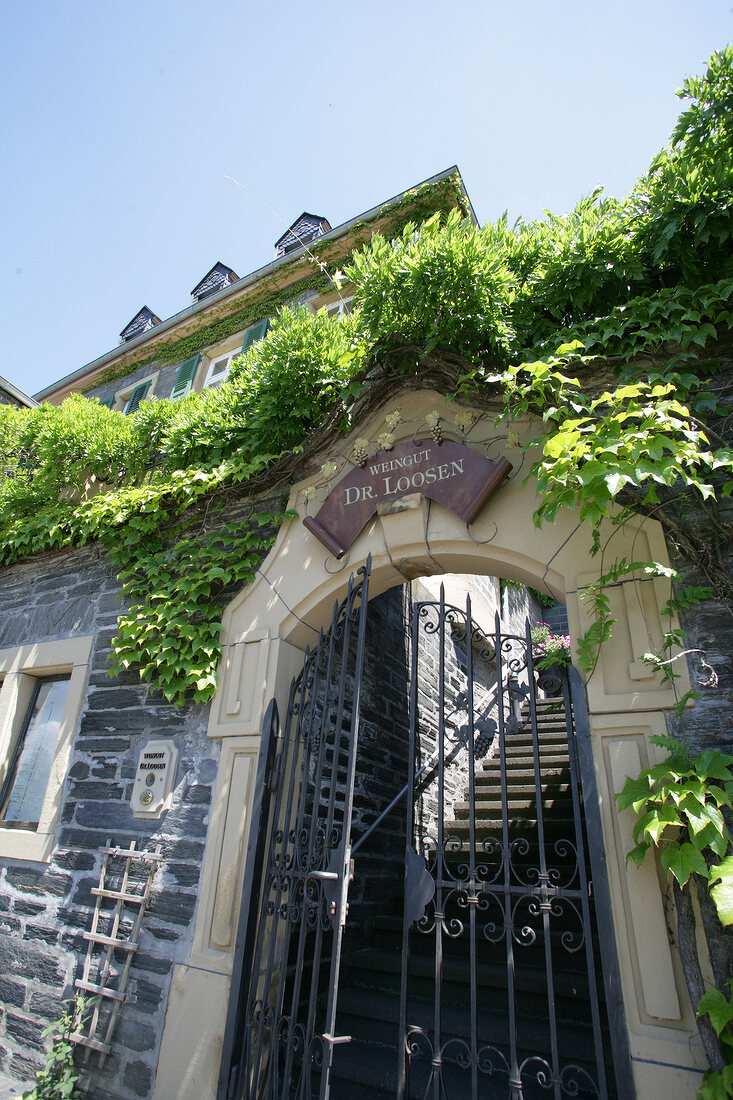 Dr Loosen St Johannishof Weingut Bernkastel-Kues