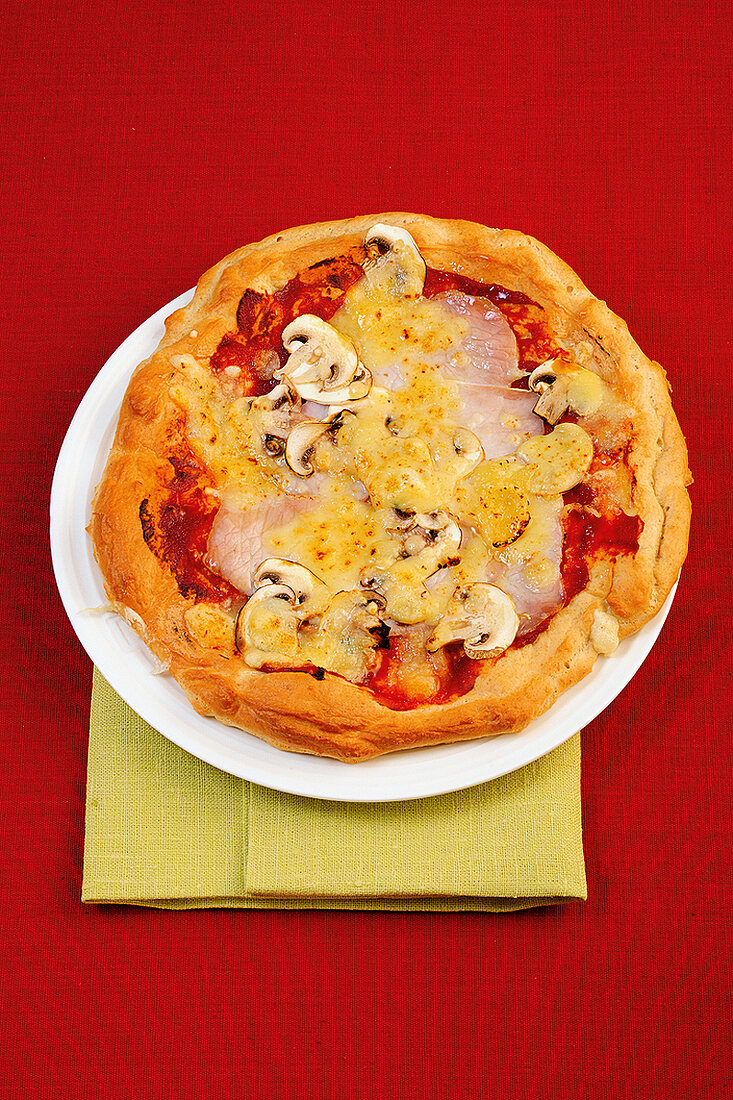 Mix pizza vegetable with mushroom on plate