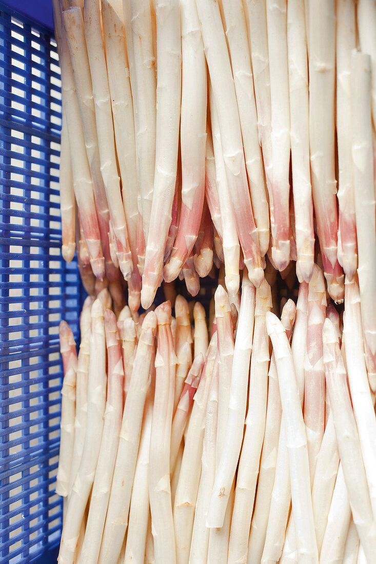 Close-up of white asparagus in basket