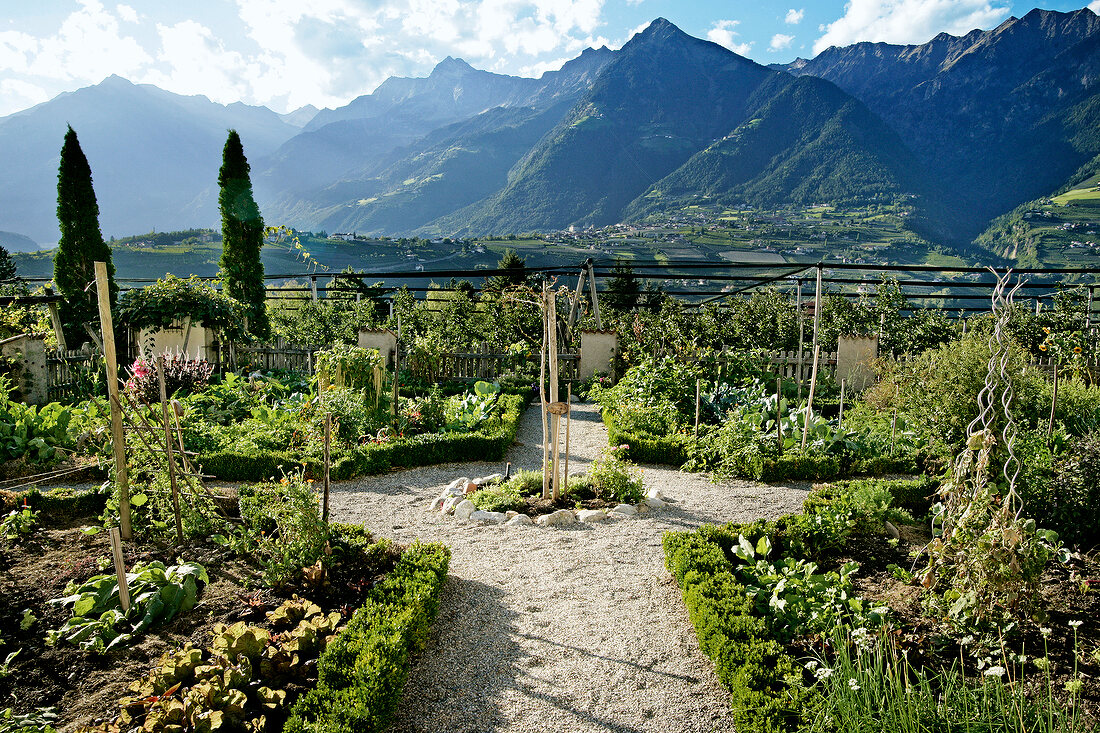 View of herb garden in Oberhaslerhof, Italy
