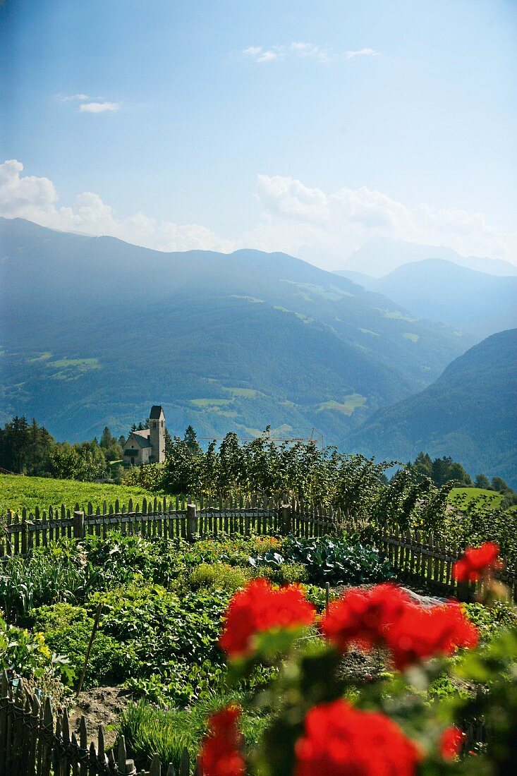 Blick aus einem sommerlichen Bauerngarten auf die umliegenede Berglandschaft, Oberhauserhof, Südtirol