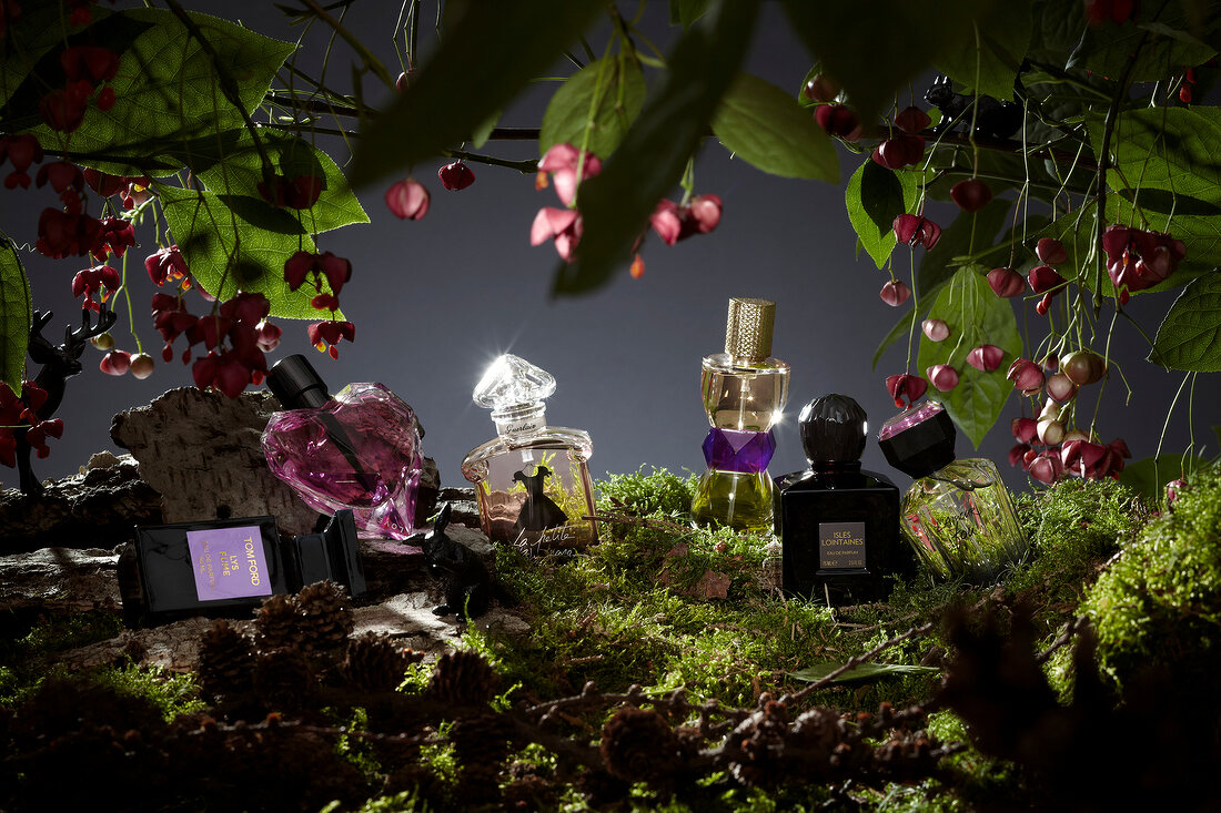 Various types of perfume bottles in forest with flowers, digital composite