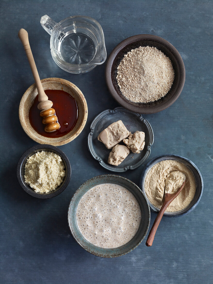 Yeast and other various types of leaven in bowls