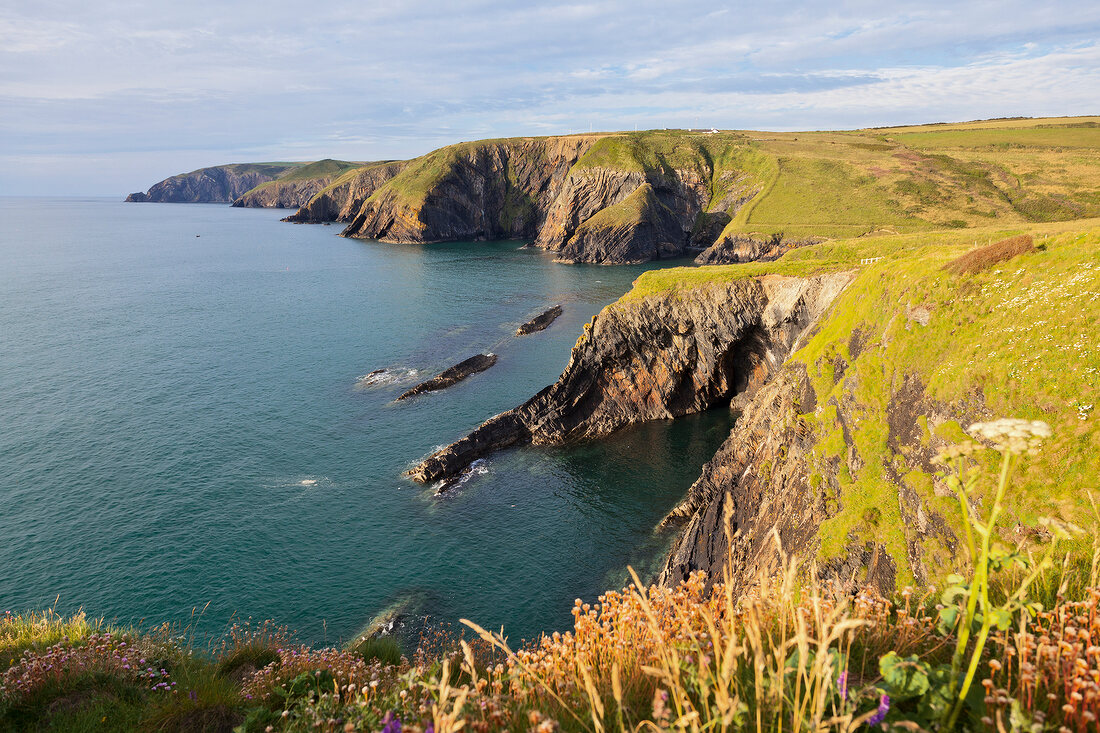 View of Ceibwr bay in Pembrokeshire National Park, Wales, UK