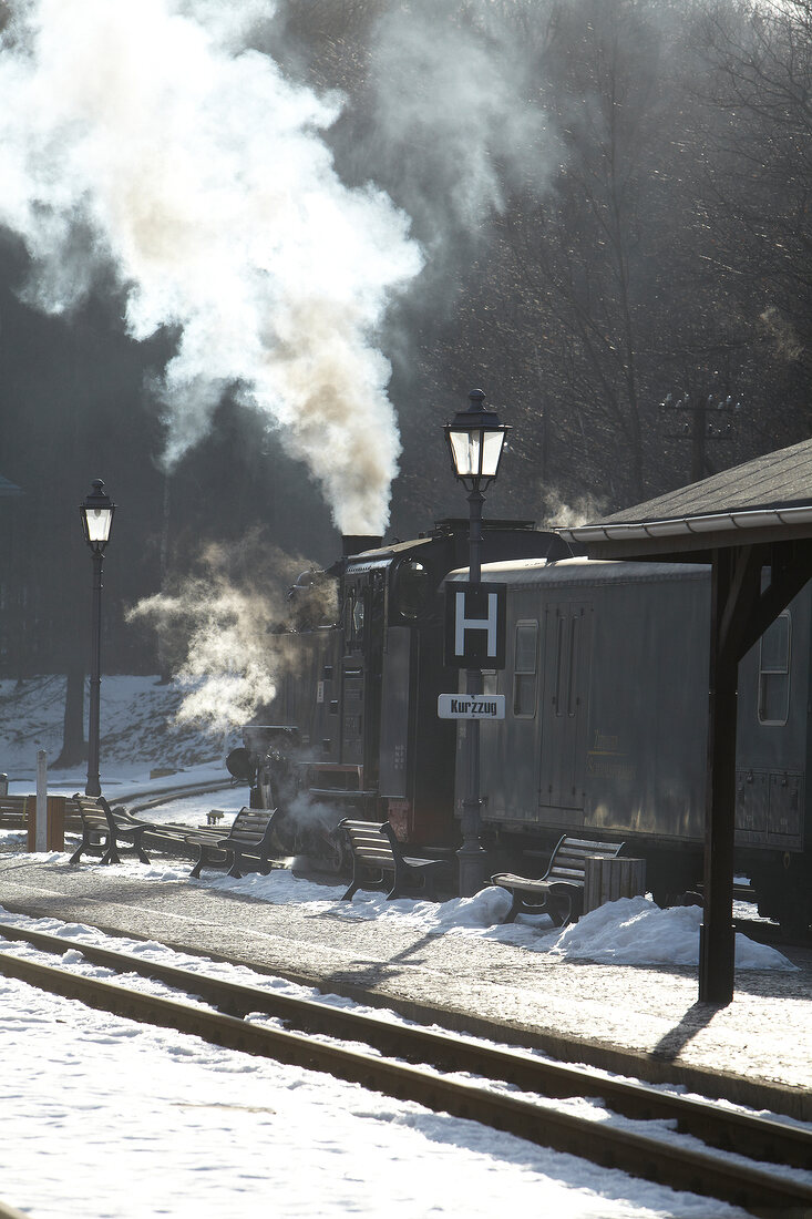 Steam locomotive in Zittau narrow gauge railway, Saxony, Germany