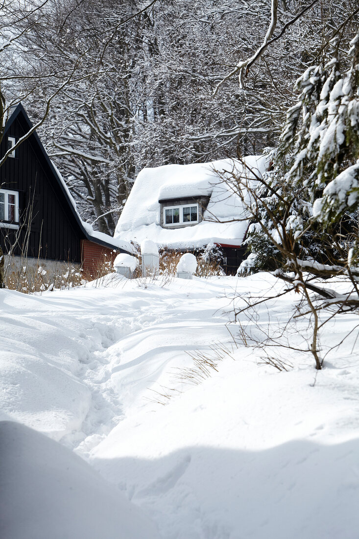 Upper Lusatian Mountains with house covered with snow in forest