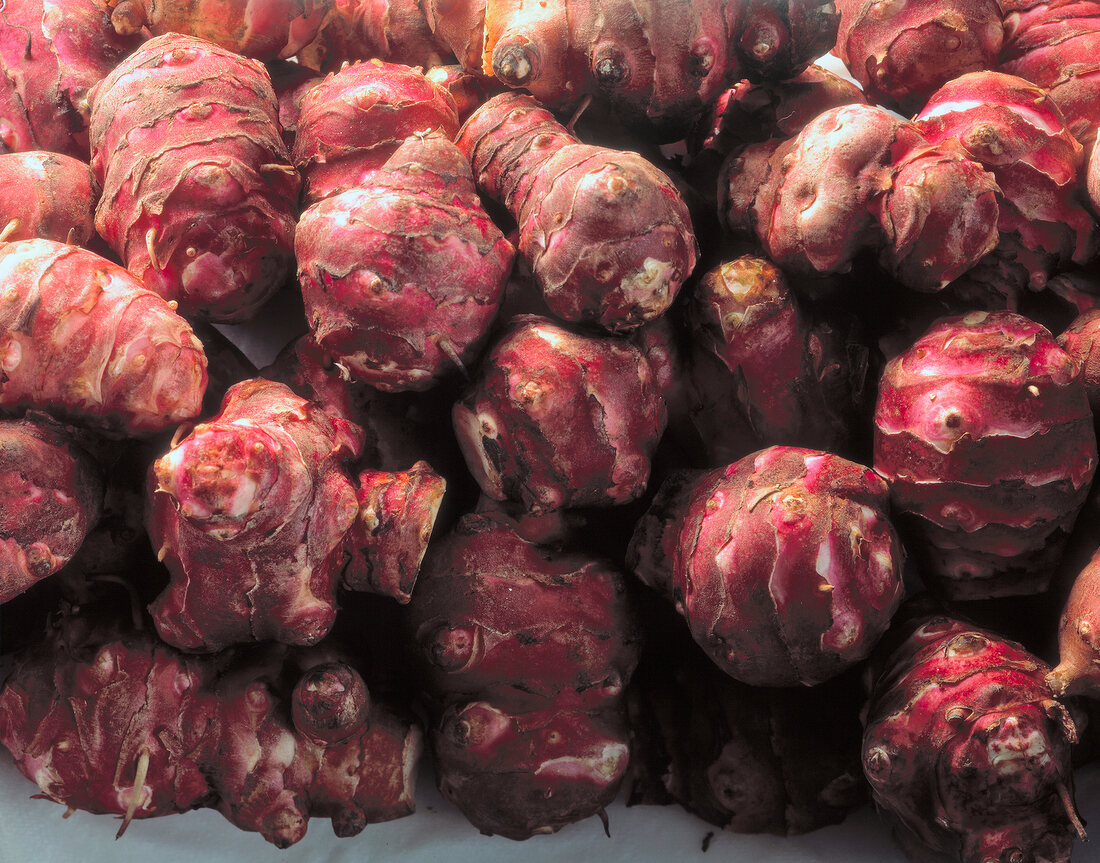 Close-up of jerusalem artichokes used as tubers