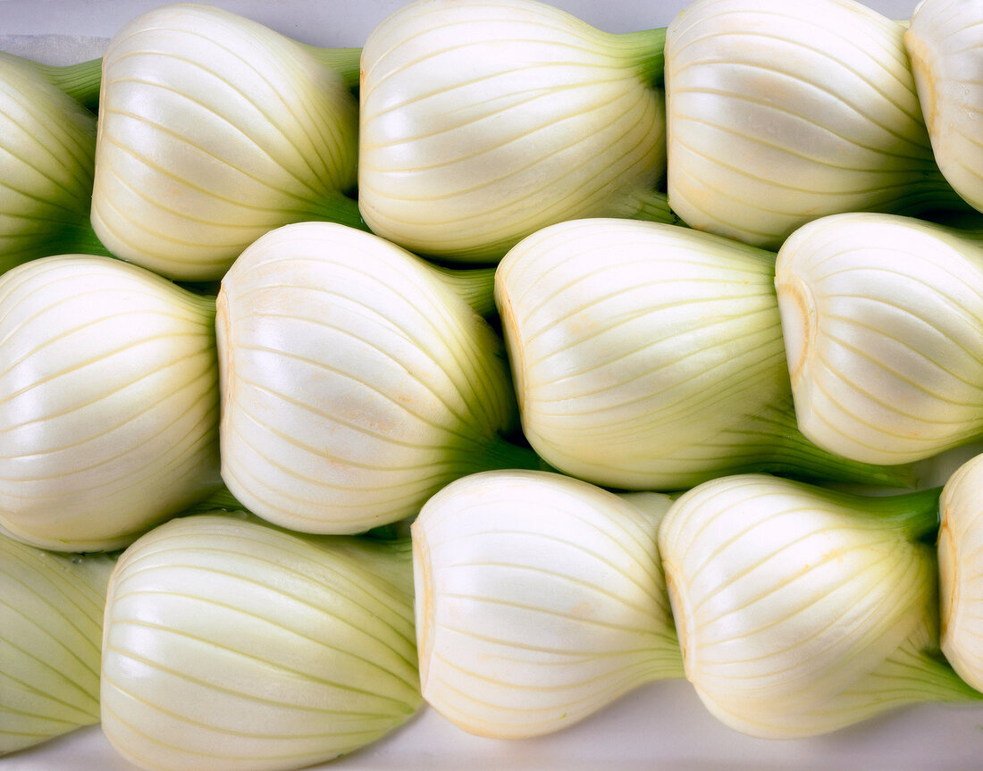 Close-up of fennel bulbs