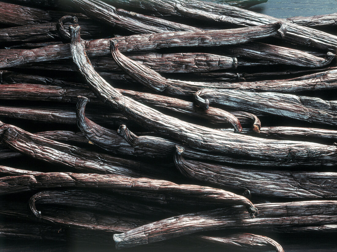Close-up of vanilla sticks