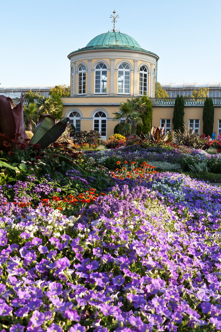 Hannover, Herrenhausen, Herrenhäuser Gärten, Berggarten, Bibliothek