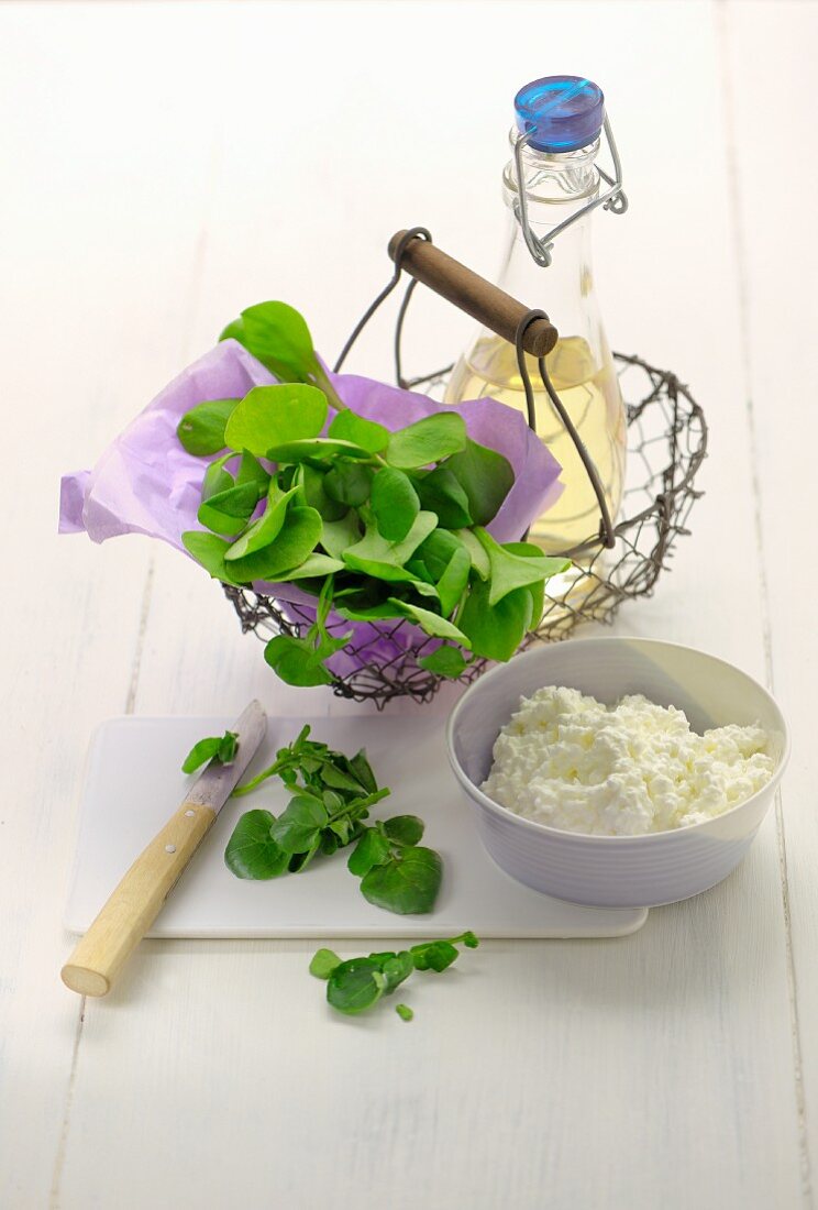 A basket of fresh spinach, vinegar and cottage cheese