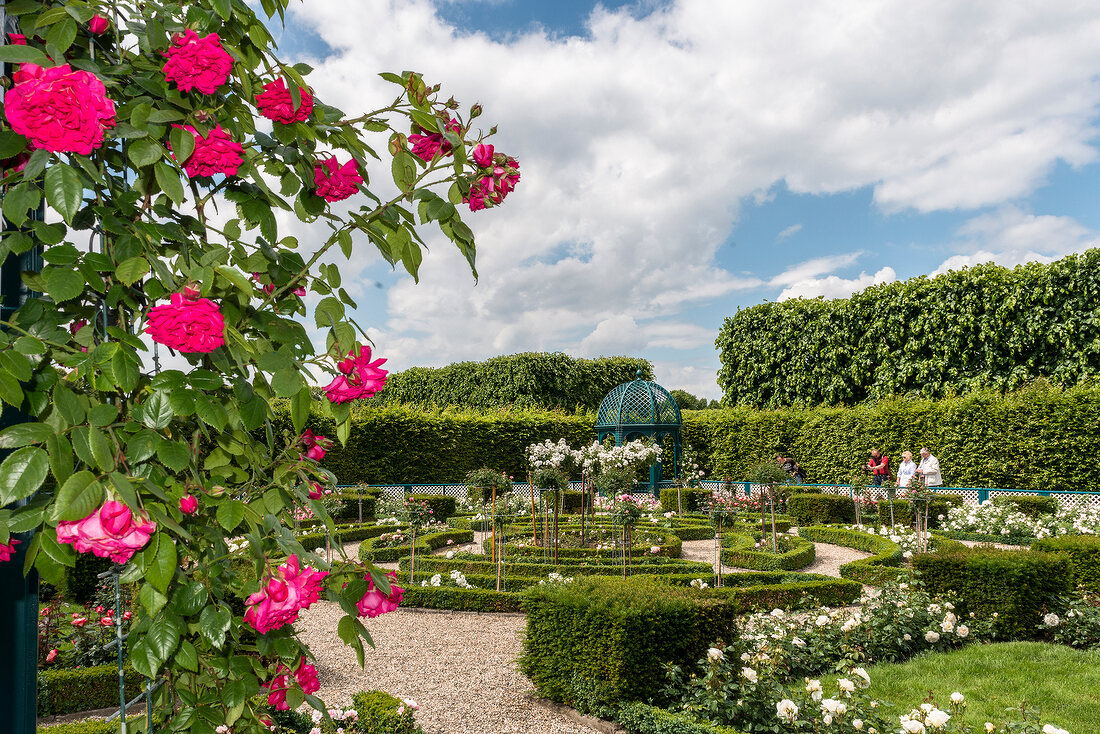 Hannover, Schloss Herrenhausen, Herrenhäuser Gärten, Rosen, Pavillon