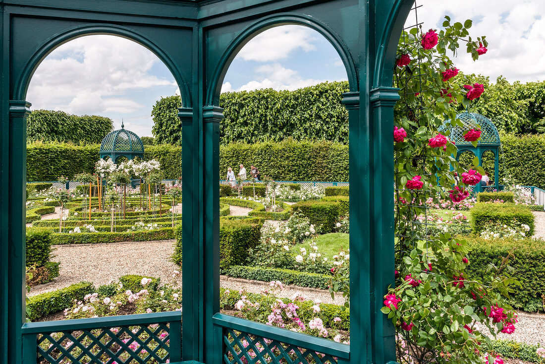 Roses and gazebo in Royal Gardens at Herrenhausen Palace, Hannover, Germany