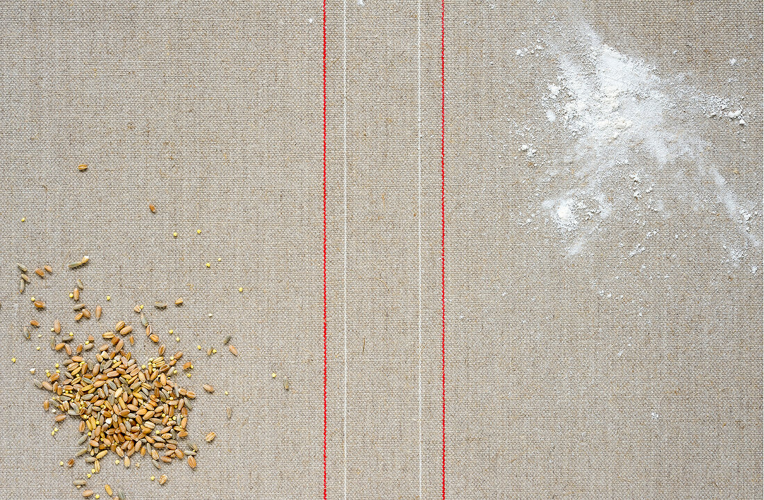 Grains and flour on gray background