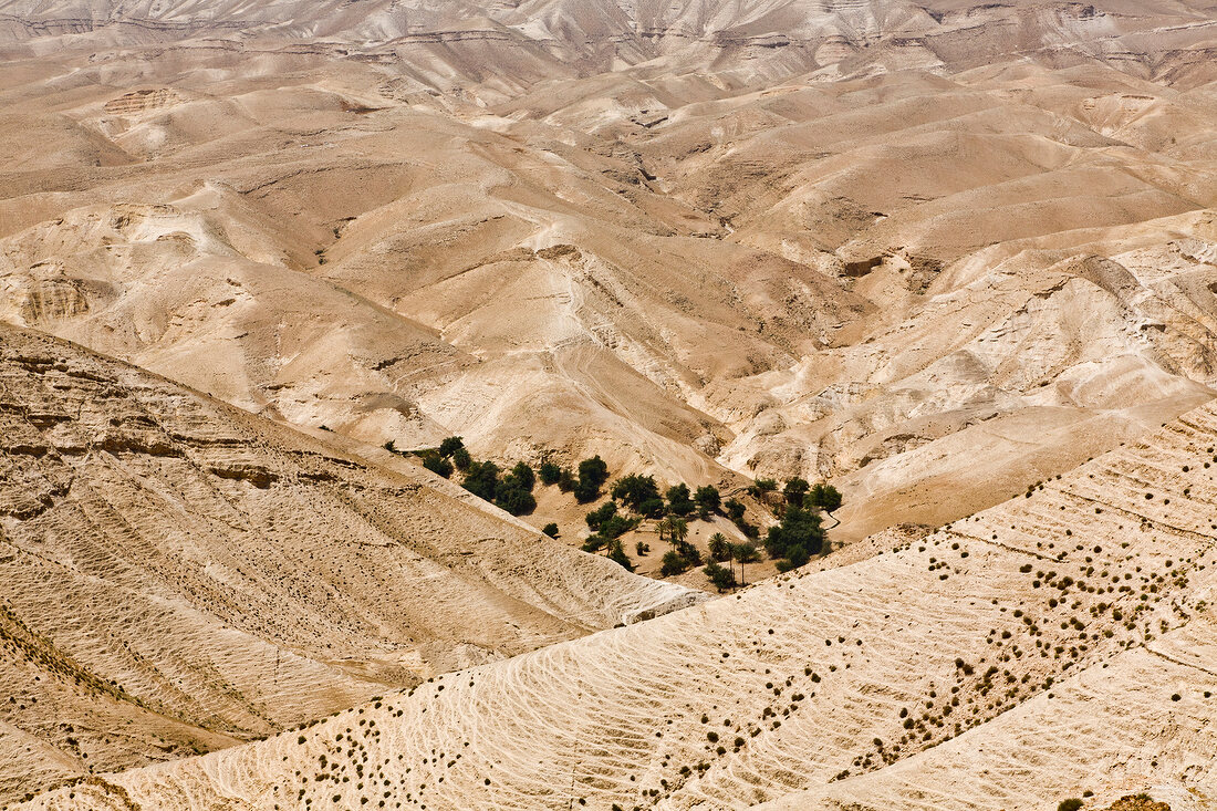 Israel, Wadi Qelt, Judäische Wüste, Westjordanland