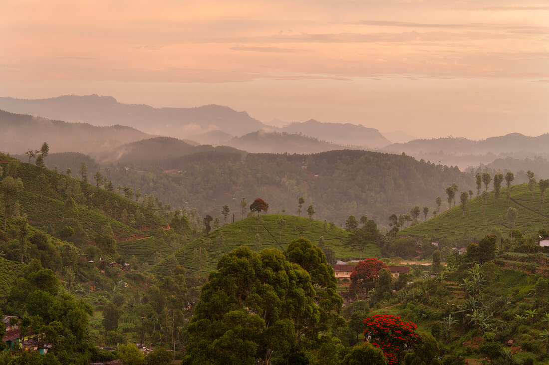 View of Haputale and Bandarawela, Sri Lanka