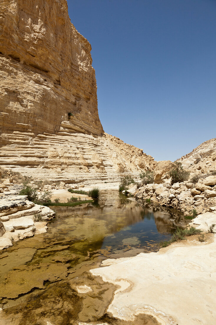 View of Ein Avdat and still water at En Avdat National Park, Negev, Israel