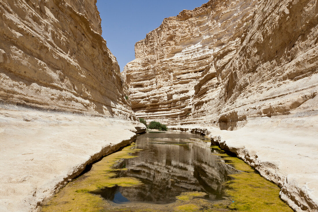 Israel, Wüste Negev, Awdat-Quelle, En-Awdat-Nationalpark