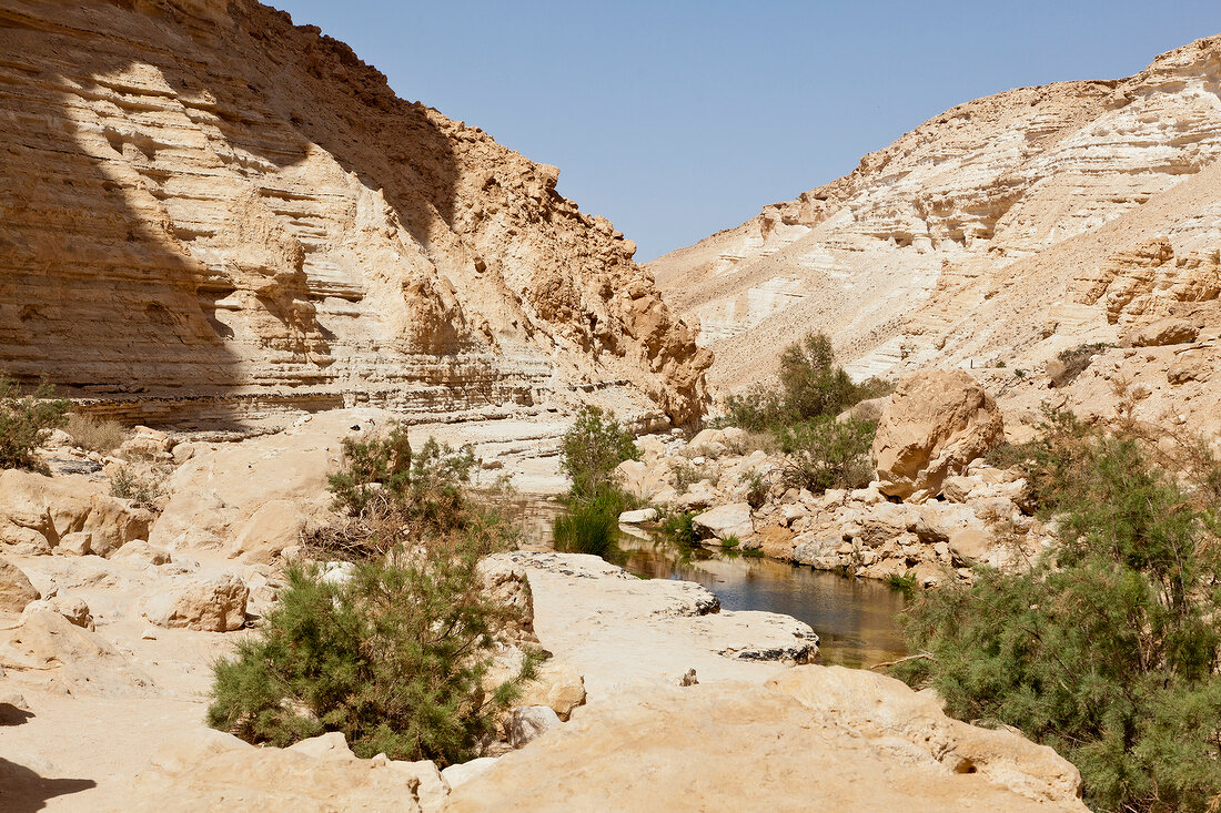 View of people at Ein Avdat and still water in En Avdat National Park, Negev, Israel