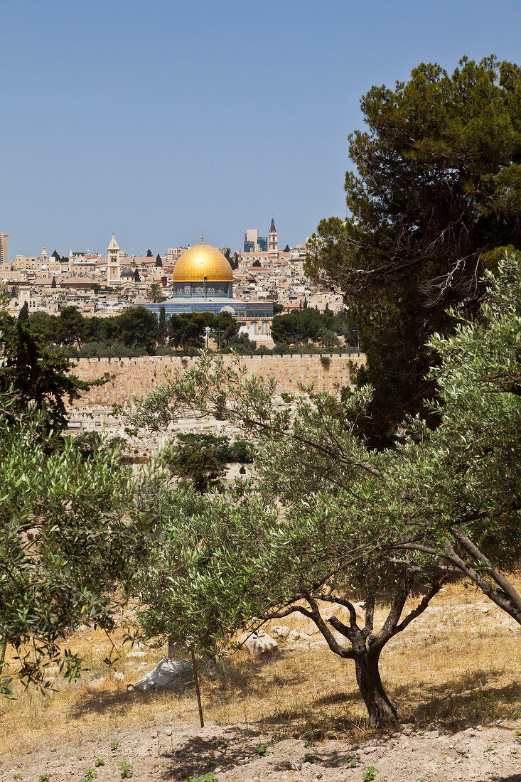 Israel, Jerusalem, Blick vom Ölberg, Tempelberg, Felsendom, Bäume